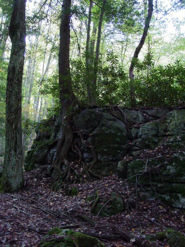 Rock Garden Self Guided Trail