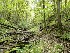 Reverie Trail to Tecumseh Falls