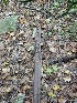 Rail segment near Tecumseh Falls