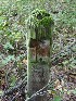 Dreamer's Meadow Sign Post?