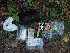 Big Mountain Fire Tower Cache Contents