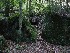 Rock Garden Self Guided Trail