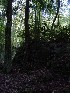 Rock Garden Self Guided Trail