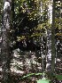 View from Cache toward Road