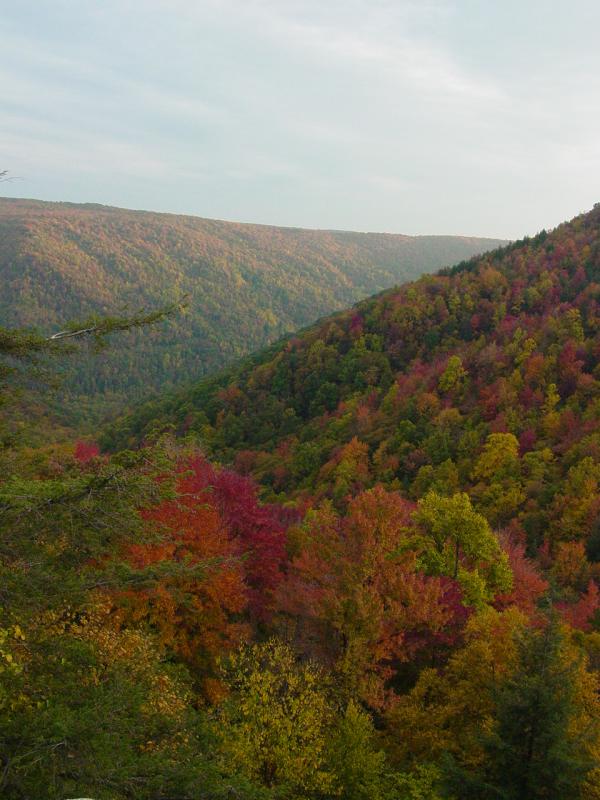 View from Big Run Scenic Overlook