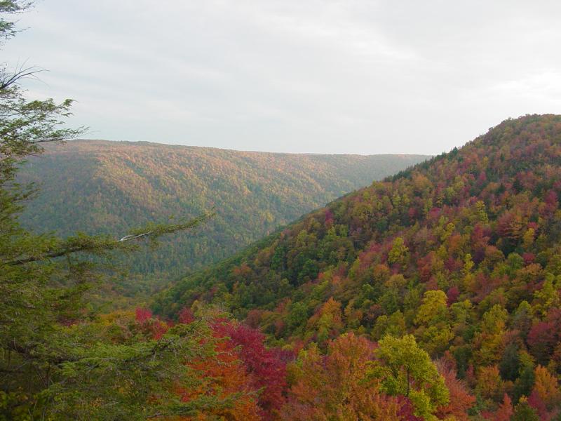 View from Big Run Scenic Overlook - 10/09/04 - Click to Enlarge