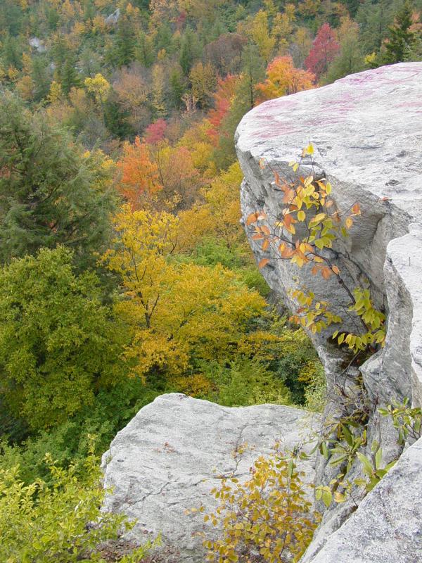 View from Big Run Scenic Overlook