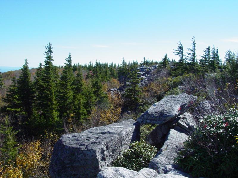 View from Outlook near Dolly Sods - Click to Enlarge