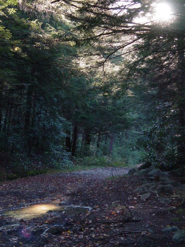 Public Road 18 near Campsite