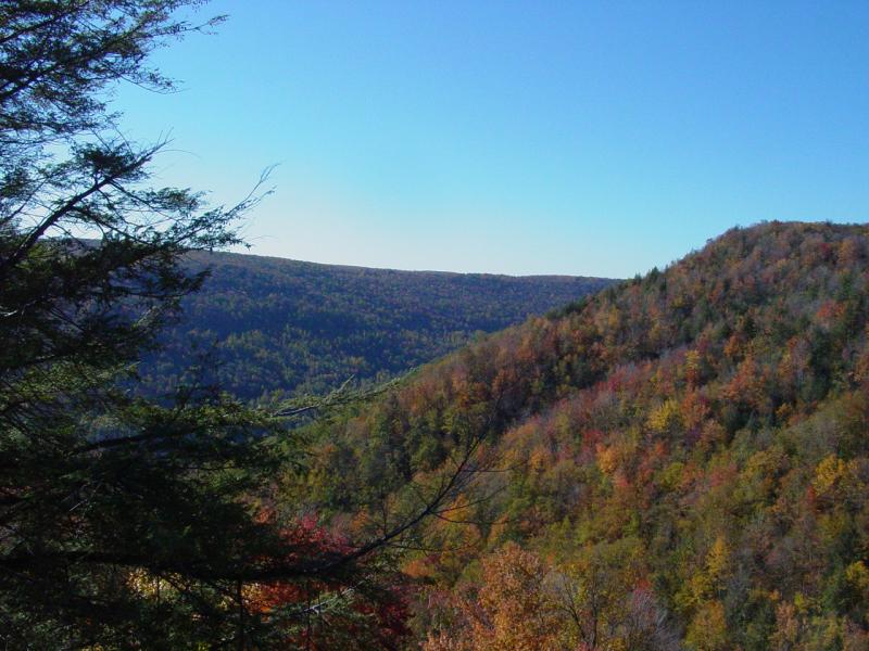 View from Big Run Scenic Overlook
