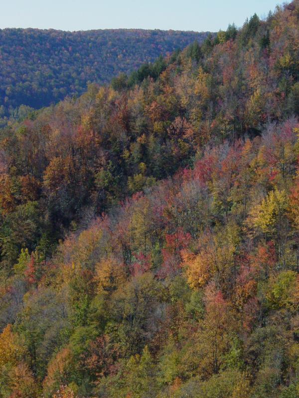 View from Big Run Scenic Overlook