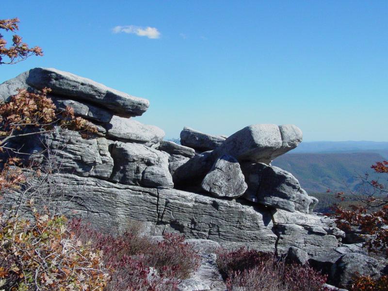 Trail to Bear Rocks on Dolly Sods