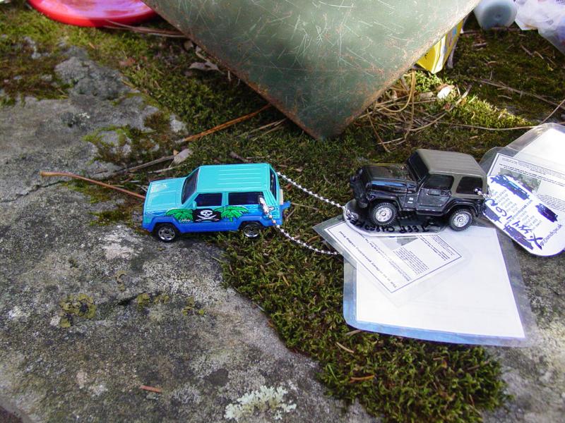 Logged the Travel Bugs at GCJHQZ DOLLY SODS SOUTH