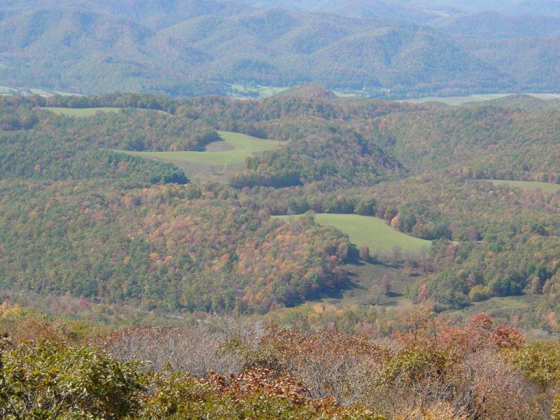 View from Olson Tower