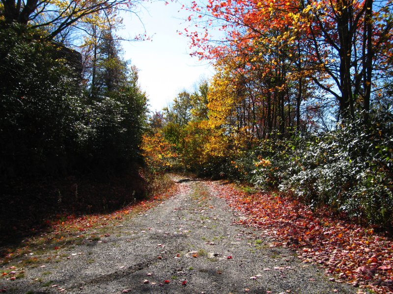 Public Road 18