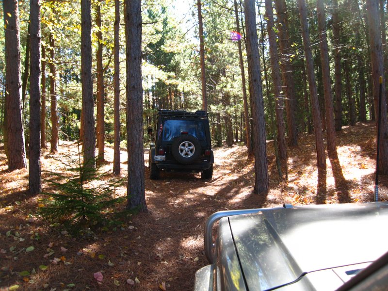 Retracing Steps