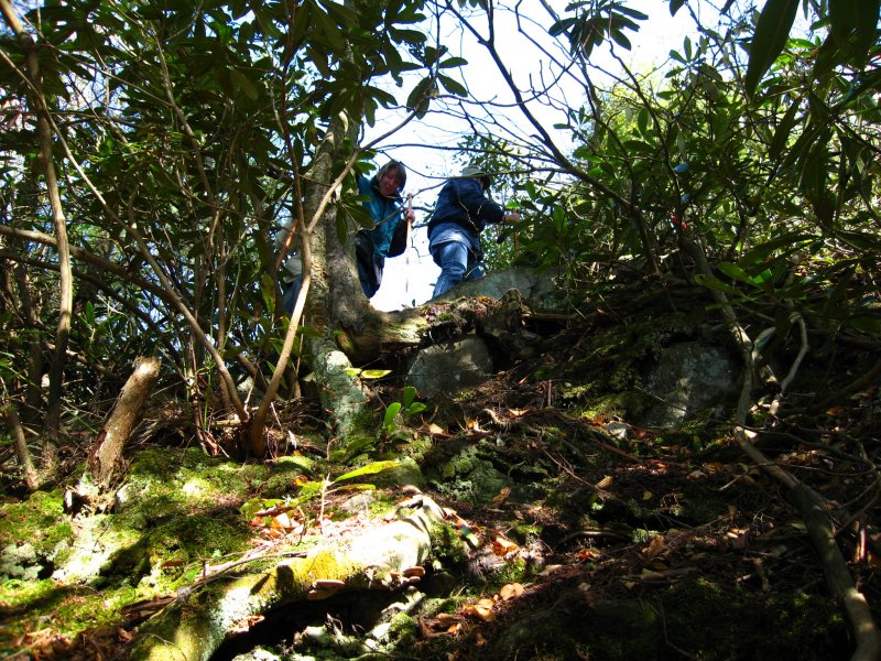 Descending to the Falls