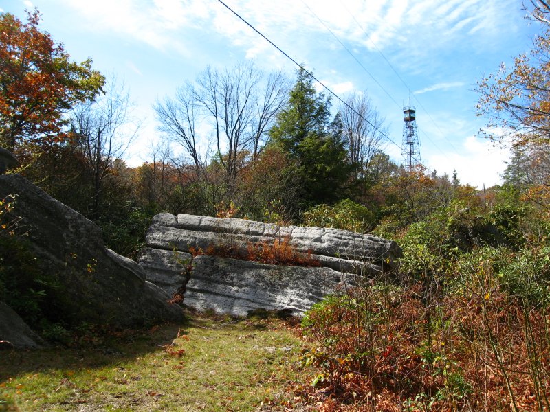 Near Olson Tower