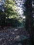Public Road 18 near Campsite