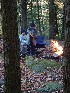 Morning Fire