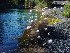 Small Pool