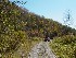 Rail Trail near Coketon