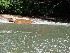 North Fork Blackwater River