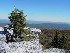 Trail to Bear Rocks on Dolly Sods