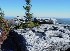 View from the Trail to Bear Rocks on Dolly Sods