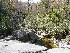 Big Run Falls near Campsite
