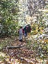 Gulliver's Travellers, ppro, tompro and tedpro on Canyon Rim Trail