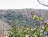 View from Rock on Canyon Rim Trail