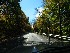 Roadway