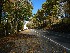 Roadway
