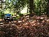 New campsite