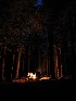 Campfire