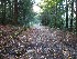 Public Road 18 at Campsite