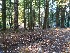 Campsite