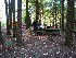 Campsite