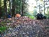 Campsite