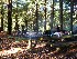 Campsite
