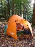 Cozy Canopy