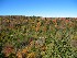 View from Big Run Scenic Outlook