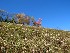 Steep Meadow near Douglas