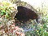Coke Oven