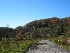 Rail Trail