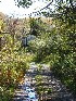Rail Trail