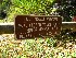 End of Motorized Travel on Rail Trail