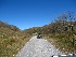 Rail Trail
