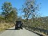 To Dolly Sods